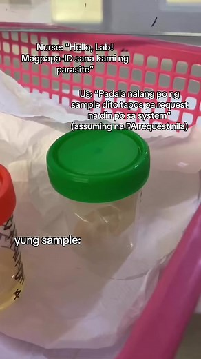 Ascaris Lumbricoides: Symptoms, Diagnosis, and Treatment