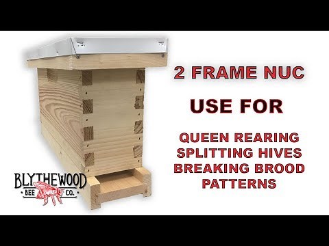 2 Frame NUC Box For Queen Rearing, Splitting And Breaking The Queens Brood Cycle