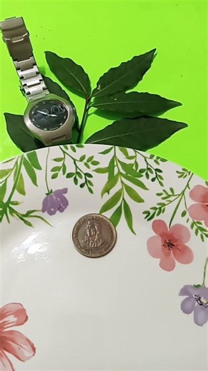 1801-1809 Thomas Jefferson DEFENDER of REGIOUS FREDOM.