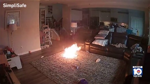 Dog sparks fire by chewing on lithium-ion battery