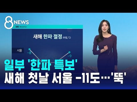 [날씨] 일부 '한파 특보'…새해 첫날 서울 -11도까지 '뚝' / SBS 8뉴스