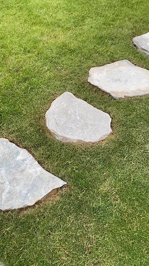 The finishing touches. You may remember this garden from earlier in the year, I raised the whole garden up to match the new hard landscaping and laid a new lawn. This week I was back to fit these beautiful Cornish slate stepping stones. So much of the slate around at the moment comes from the other side of the world, it’s really nice (as well as ethically and ecologically better) to use a more local product. They’re really chunky stones so leaving the sides exposed shows the beautiful natural de