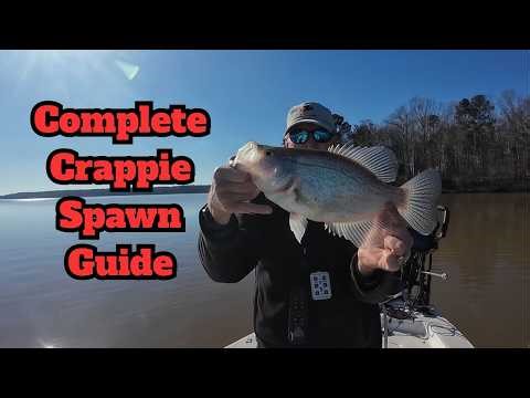 Complete Crappie Spawn Guide - Everything You Should Know