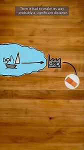 What it actually means for fish to be “fresh”