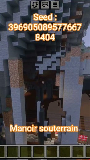 Un manoir souterrain 😱💀 #minecraft #minecraftshorts #minecraftseeds