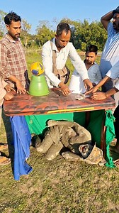 2.2M views · 6.3K reactions | Bax and Ball  New Fun  #Reel #reels #fb #GAMING #GameOn #ReelsVideo #reelsfbシ #trending #viralpost #reelsviralシ #reelvideo #reel #reelsfb #game #India #brealprank | B REAL PRANK | Facebook