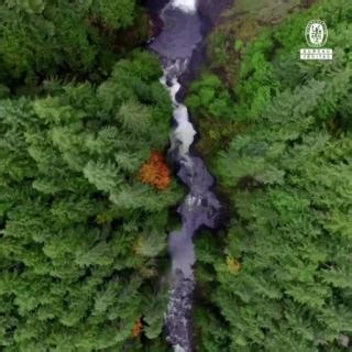 If you thought Bureau Veritas was just a testing, inspection and certification (TIC) company, wait until you see what we have achieved in 2024 so far 💪 🏆 Here are some of BV’s achievements in H1 2024. Among them, we were listed in the 2024 S&P Global Sustainability Yearbook, published by the S&P Global Corporate Sustainability Assessment (CSA) and named Global Certification Provider for EDGE green building certification by IFC - International Finance Corporation. We also launched our new strat