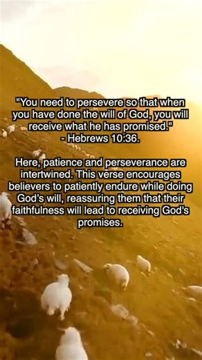 TikTok · FreedomScriptures