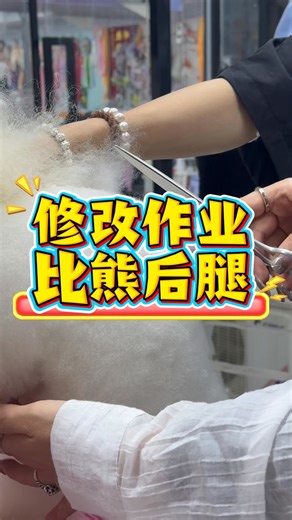 Teacher Wu revises the homework for the students to see the changes before and after are too big. If you can't trim the hind legs of Bichon, you can learn pet grooming from me. | Yan Wu