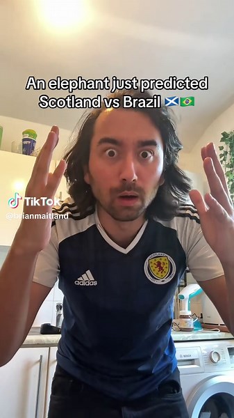 An elephant has just predicted the winner between Scotland v Brazil! Join my reaction stream at 10:30pm BST tonight #Scotland #Brazil