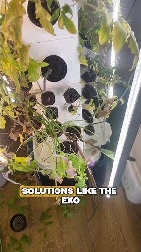 Discover the future of indoor farming with innovative cultivation systems