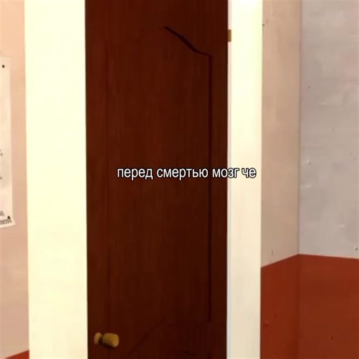 #фазбер #фреди #фнаф #фнафчик #чика #плбшевыепридурки #плюш #following #follow #elbruso #viral #rge #rge #on #fupシ #бонни #фокси #спиинтрап #смешарикфнаф