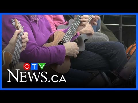 Ukulele jam session invites players of all skill levels