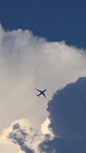 South African airways A330 #travel #airbus #shorts #planespotting
