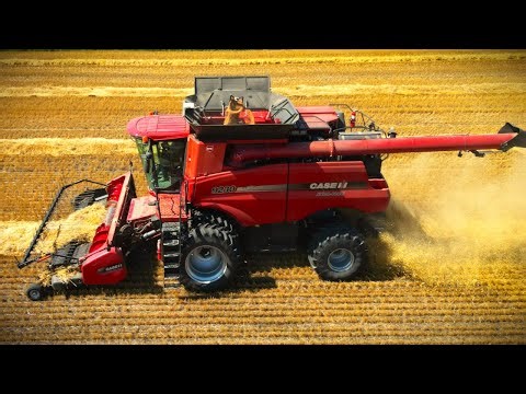 CASE IH 9230s harvesting swathed wheat in Canada