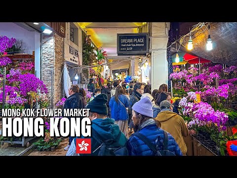 Hong Kong — Mong Kok Flower Market Walking Tour【4K HDR】Lunar New Year 2025