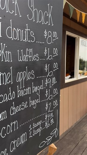 Head to Green Bluff, Spokane's orchard escape with 30 family farms, each bursting with unique harvest fun! Start at Hidden Acres Orchards, a fourth-generation family gem since 1970: Begin your U-pick adventure with apples & pears on 60 low-spray acres, pet fluffy farm friends, snag mini pumpkin donuts & homemade jams from the store, and sip warm apple cider. No matter where you stop, Green Bluff has it all. Pumpkin patches, cider sips, and foothill views that'll steal your breath. Join the Fall 