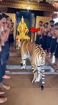 🕉️கடவுள் ஐயப்பர் இருப்பதை உணர்த்தும் உண்மையான மூன்று 🛕🏹 Lord Ayyappan Miracles 😯🚩 #shiva #ayyappan