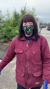 2.7K views · 58 reactions | Strawberry season is just around the corner! ❤️ Get a head start with this awesome offer from Thorne Farms - everbearing strawberry plants! $25 for one tray gets you about 14 plants which can yield 2-3 quarts a week! And they produce from May right up until October. Watch the video ⬇️ to learn more about how they work. | St. Jacobs Farmers Market | Facebook