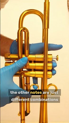 How trumpet 🎺 works?! Ever wondered how 3 buttons can make all the notes? 🤔