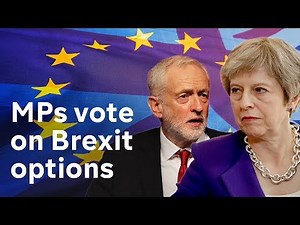 MPs debate different options for Brexit - LIVE