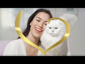 Animal Planet commercials April 19, 2022