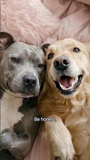 send this to the biggest dog lover you know 🐾😂