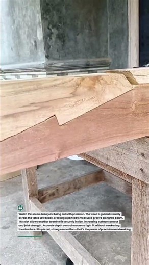 Precision Wood Joinery with Table Saw Dado Cut #Woodworking #DIY #Carpentry