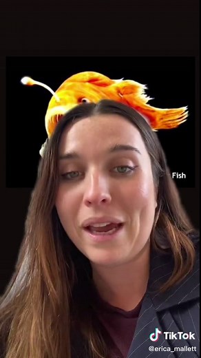 Did you know this about the female anglerfish? i can’t be the only one obsessed with deep sea animals? #deepsea #anglerfish #animalfacts #fishfacts #australiafacts