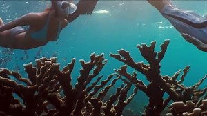 Into the Blue (2005)