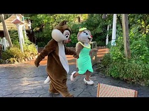 °o° Chip'n Dale and Clarice
