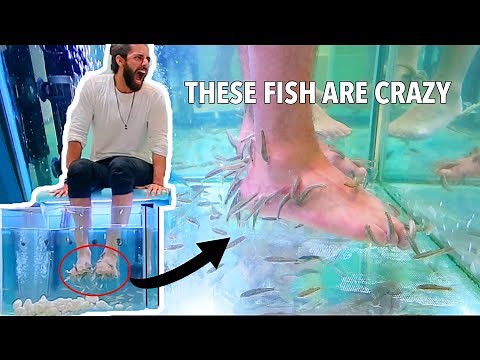 FISH EATING DEAD SKIN ON FEET (Fish Pedicure)