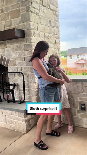 Sloth Surprise for a Sweet Family — Wife’s Dream Come True