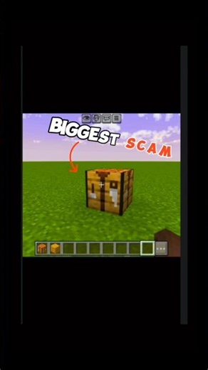 Minecraft Has Been Scamming Us This Whole Time…🫨