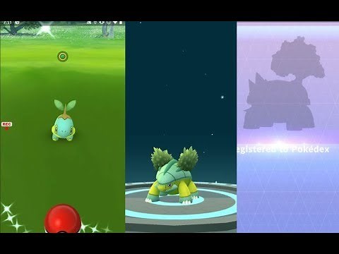 Catching shiny Turtwig, evolving into shiny Grotle and Torterra