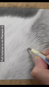 72K views · 813 reactions | Other drawing tools are just as important as the pencils themselves =). This cat fur study is a great example of this. There is only one occasion for a minute or two, where I use a graphite pencil. Erasing and blending/softening techniques are just as important and when drawing fur like this, it's crucial to get that balance right to achieve maximum depth. | Zara's Pet Portraits & Wildlife Art | Facebook