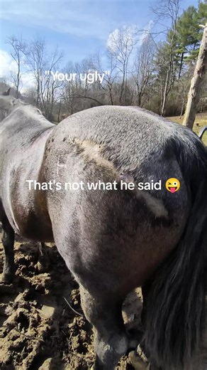 🦆🇺🇸🐎Destiny🐎🇺🇸🦆 (@destiny_houston)’s videos with original sound - 𝒮ꨄ .