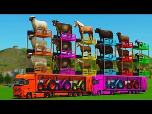BIG CARGO TRANSPORT WITH SHEEPS, HORSES, COWS, BUFFALO, GOATS & TRUCKS - FS25