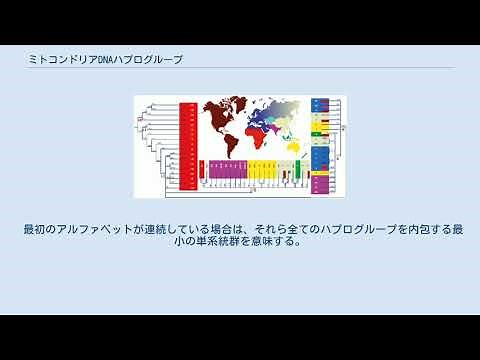ミトコンドリアDNAハプログループ