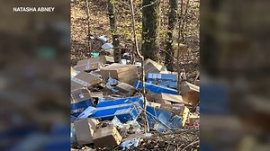 Hundreds of FedEx packages were found tossed into an Alabama ravine, sheriff says