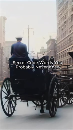 Secret Code Words You Probably Never Knew #code #history #historytime #historytok