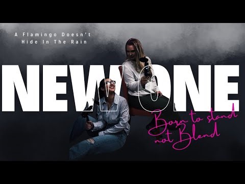 A Flamingo Doesn’t Hide in the Rain