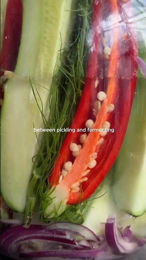 Ever wondered what’s the difference between pickling and fermenting?