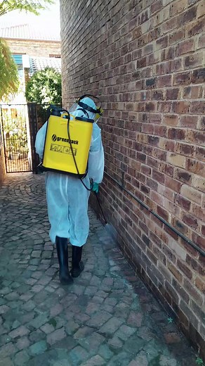 Effective Pest Control Solutions for Your Home