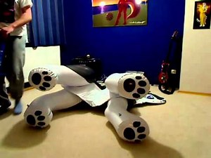 PP husky inflation.mp4