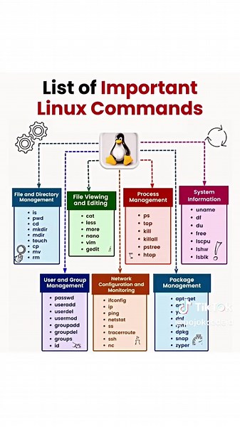 Essential Linux Commands for Every Programmer