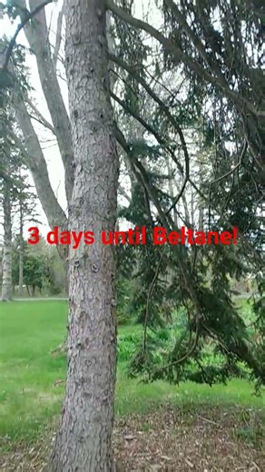 #beltane #beltane2026 #celtic #celticpagan #spring #mayday #wicca #witch #pagan