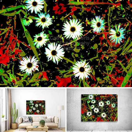 @catrobphotographyanddesigns on Instagram: "Abstract Vibrant Daisy Spectrum Above digital image featuring the design-Abstract Vibrant Daisy Spectrum Lower left design on a Canvas Print on a wall above a couch. Lower right design on a Canvas Print on an exhibition wall. I originally took a photo of a lovely grouping of Daises, laterally colour digitally editing these to create an abstract floral design. Features bright Daisy flowers standing out against a dark, colorful background. The contrast b