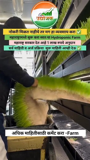 नोकरी मिळत नाहीये तर मग हा व्यवसाय करा ✅ | सुरू करा स्वतःचा Hydroponic Farm | #business #trending