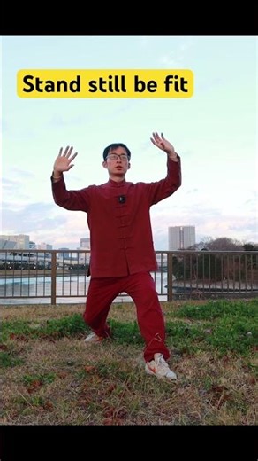 Yiquan Online Course #yiquan #zhanzhuang #chinesemartialarts #health #songgao #Fali #martialarts